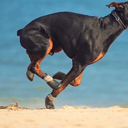 Black and brown dog running on a sandy beach with black and brown designed water poof socks with blue water in the background