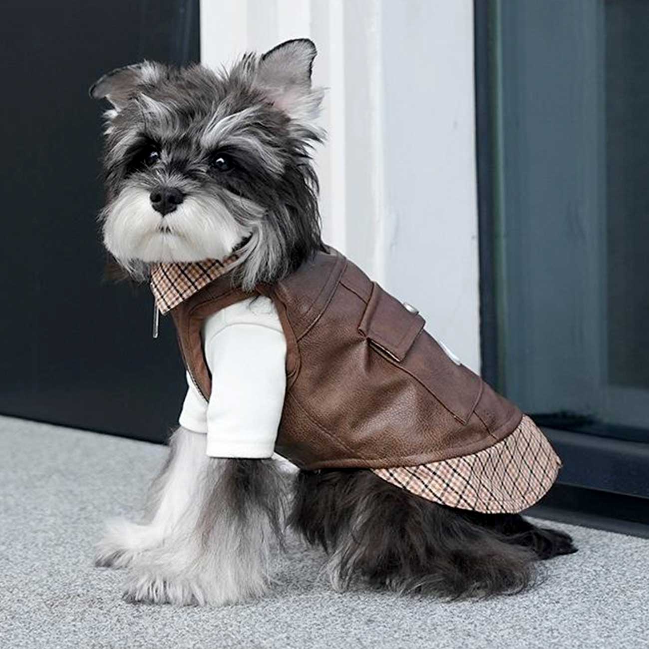 Dog wearing a brown vest with plaid lining indoors