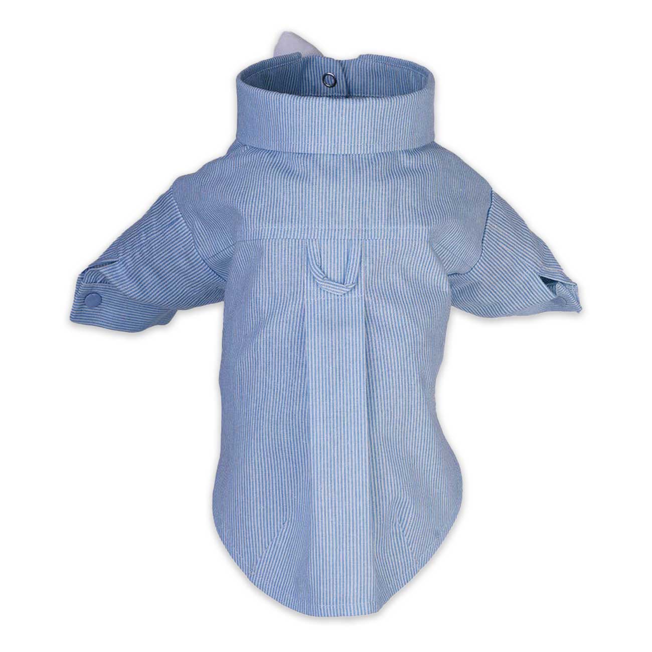 Blue striped dog shirt on a white background