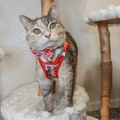 Cat_Collar_Hello_Kitty_Red_Classic_grey_cat_model