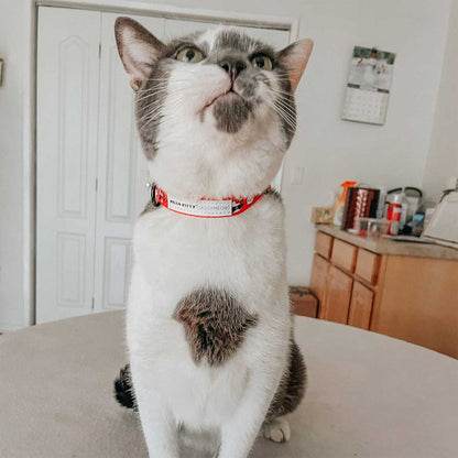 Cat_Collar_Hello_Kitty_Red_Classic_white_and_grey_cat_model
