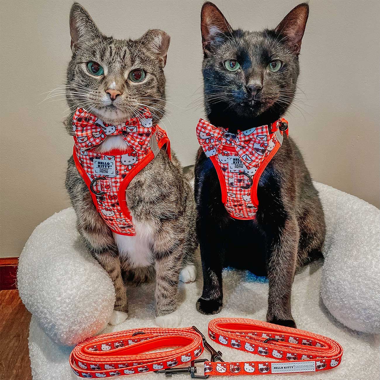Cat_Leash_Hello_Kitty_Red_Classic_on_2_cats