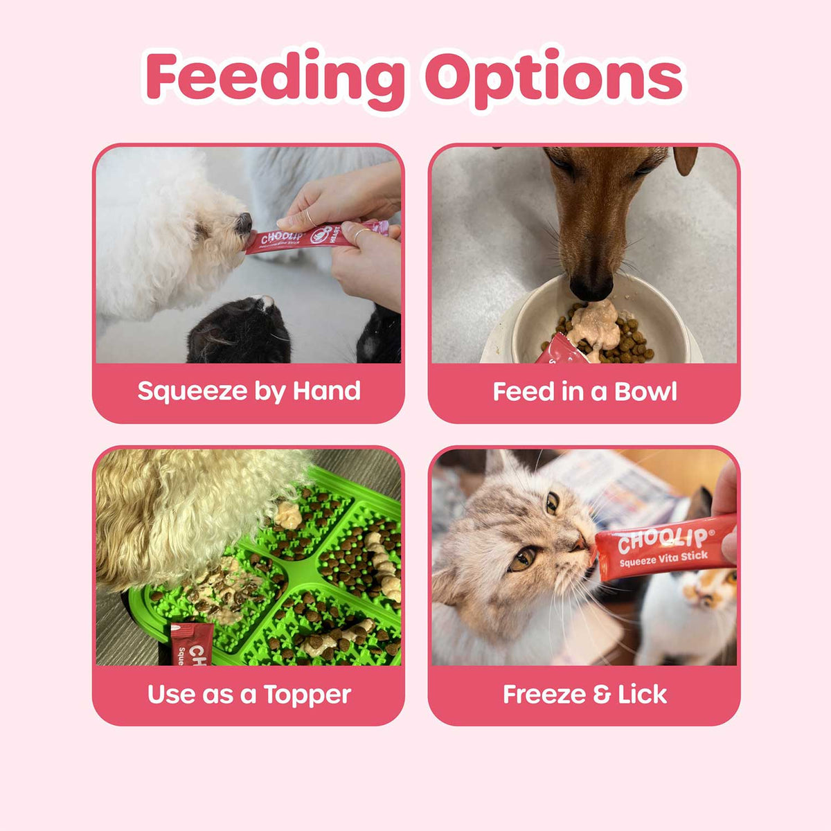 Choolip Vita Stick Heart Support Lickable Treats for Cats & Dogs