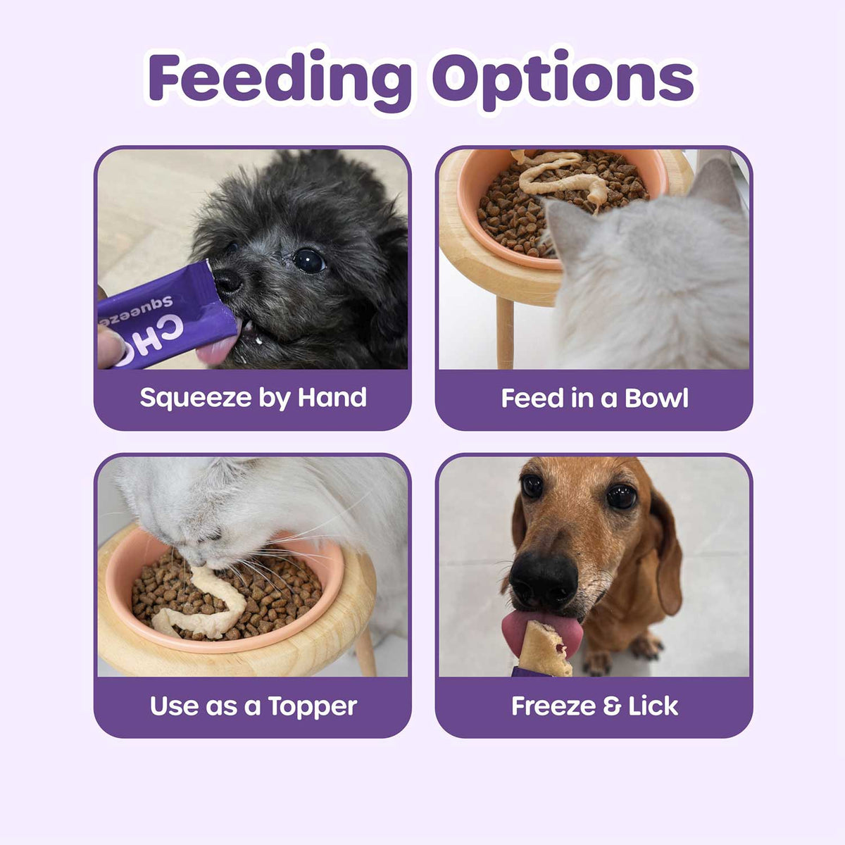 Choolip Vita Stick Joint Support Lickable Treats for Cats & Dogs