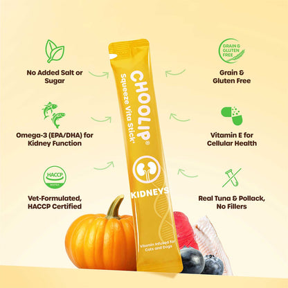 Choolip Vita Stick Kidney Support Lickable Treats for Cats & Dogs