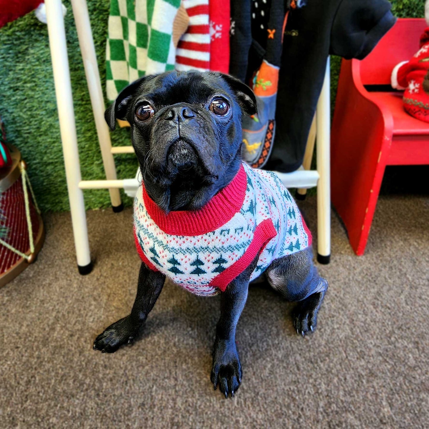 Christmas Tree Holiday Dog Sweater - Festive & Cozy Pet Apparel