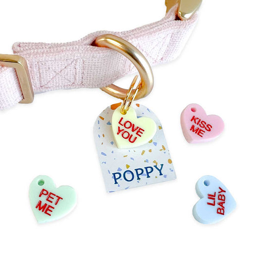Set of heart-shaped pet tags with personalized names on a white background