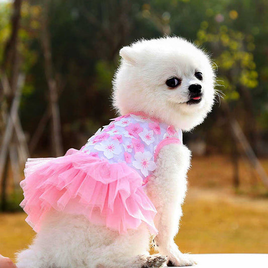 Dog Dresses Pawty Little Things Dog Dresses Pawty Little Things