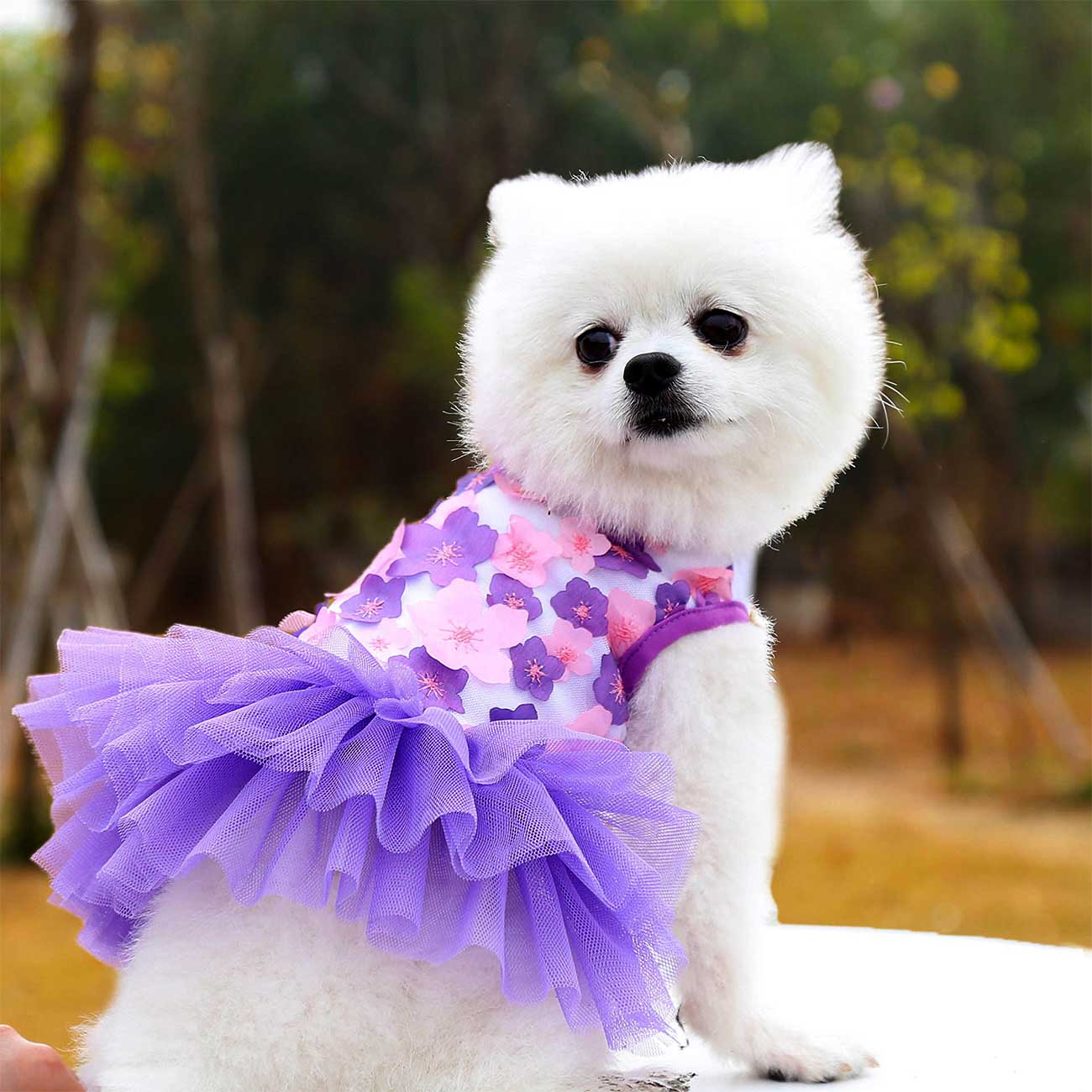 Cute Floral Tutu Dog Dress – Soft Cotton Princess Pet Dress for Small Dogs (Pink & Purple)