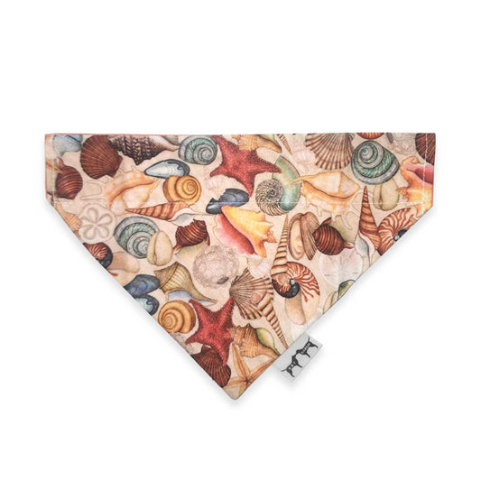 Dog bandana with seashell and starfish pattern on a white background