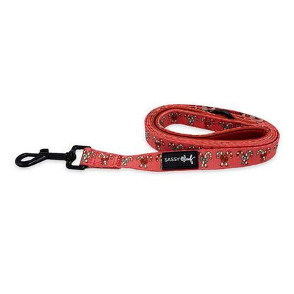 Red dog leash with candy cane accents and a black label on a white background