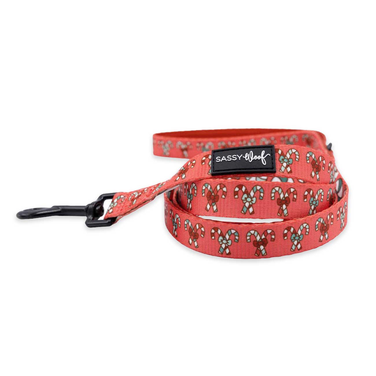 Red dog leash with candy cane pattern on a white background