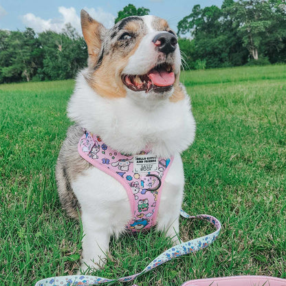 Dog wearing a pink harness with cartoon designs sitting on grass