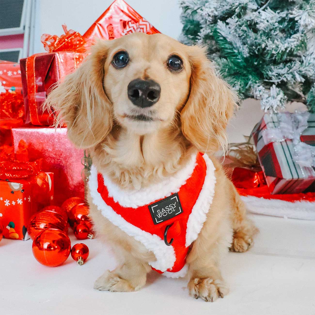 Dog Adjustable Harness – Naughty