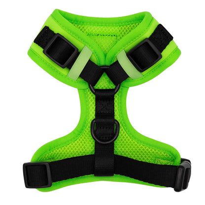 Green dog harness with black straps on a white background