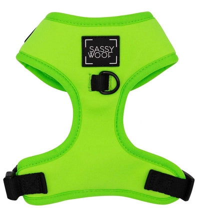 Green dog harness with 'Sassy Woof' logo on a white background