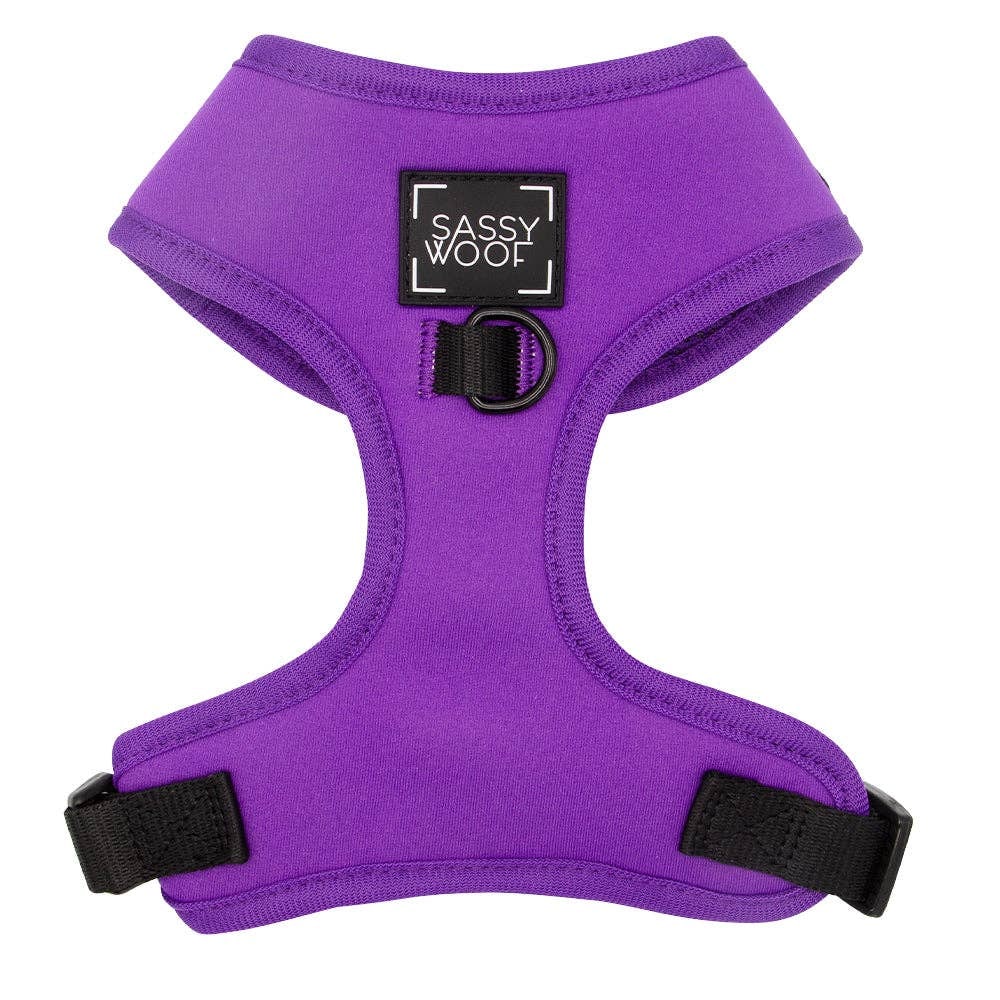 Purple dog harness with black straps on a white background