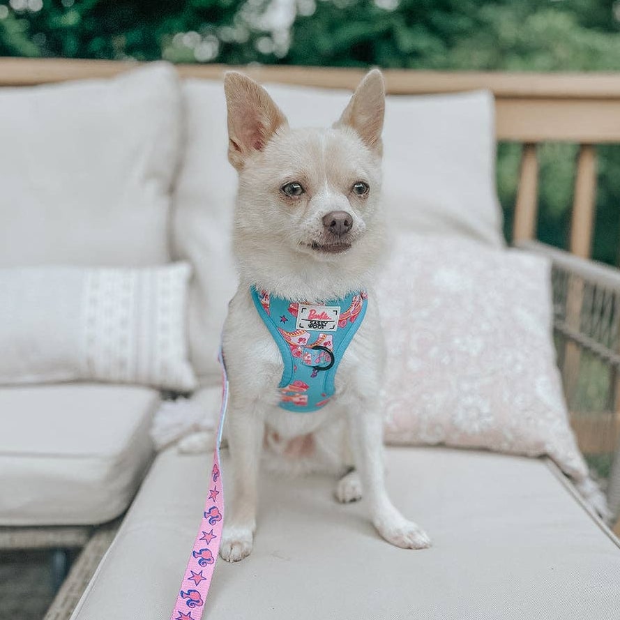 Dog Adjustable Harness On a Roll small dog model