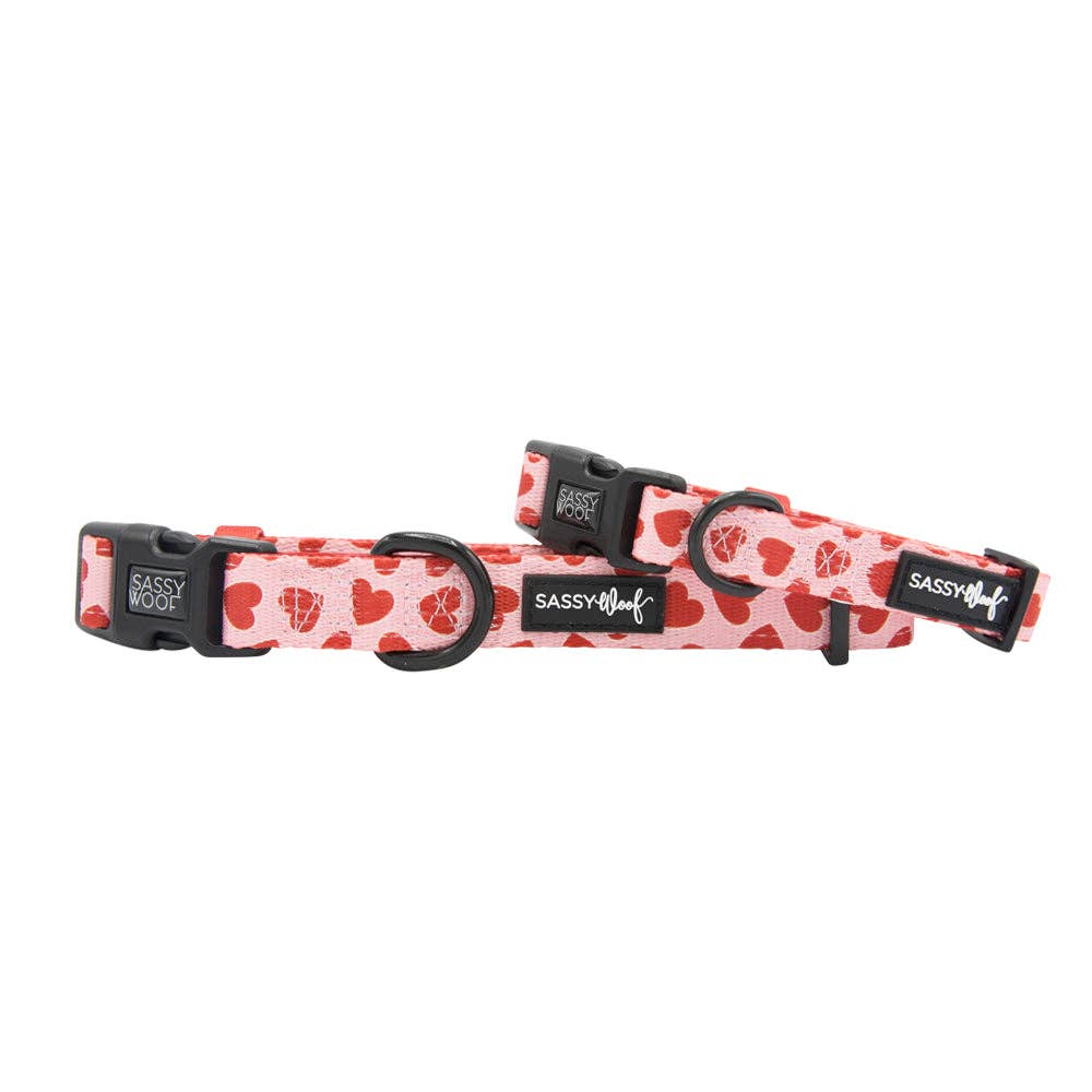Dog collar with red heart pattern on a white background