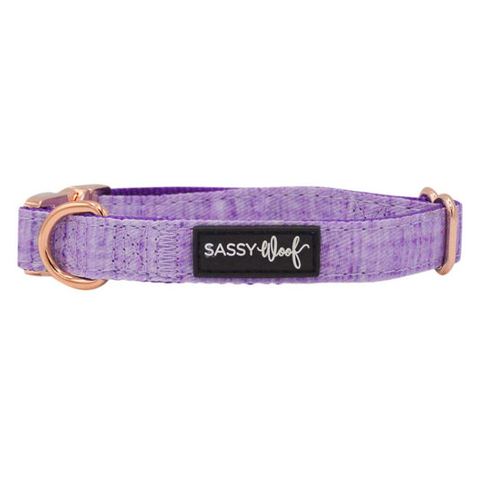 Purple dog collar with a black label on a white background