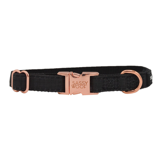 Black dog collar with rose gold buckle on a white background