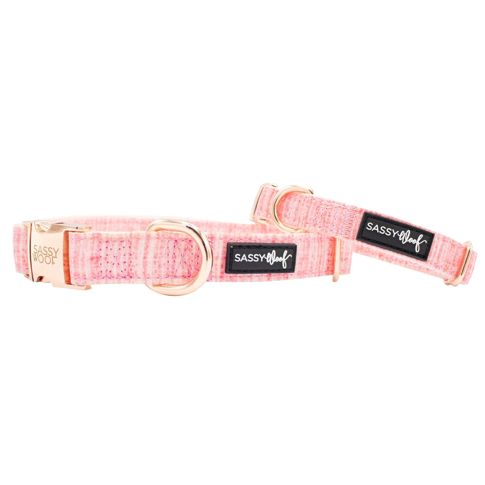 Pink dog collar with gold hardware and 'Sassy & Meow' label on a white background
