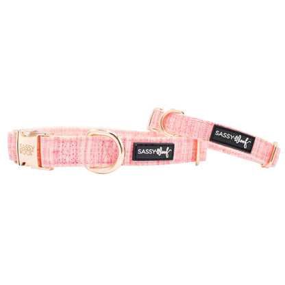 Pink dog collar with gold hardware and 'Sassy & Meow' label on a white background