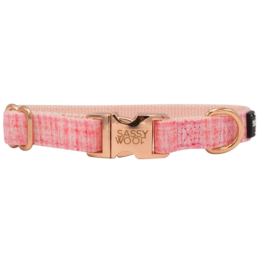 Pink dog collar with rose gold buckle on a white background