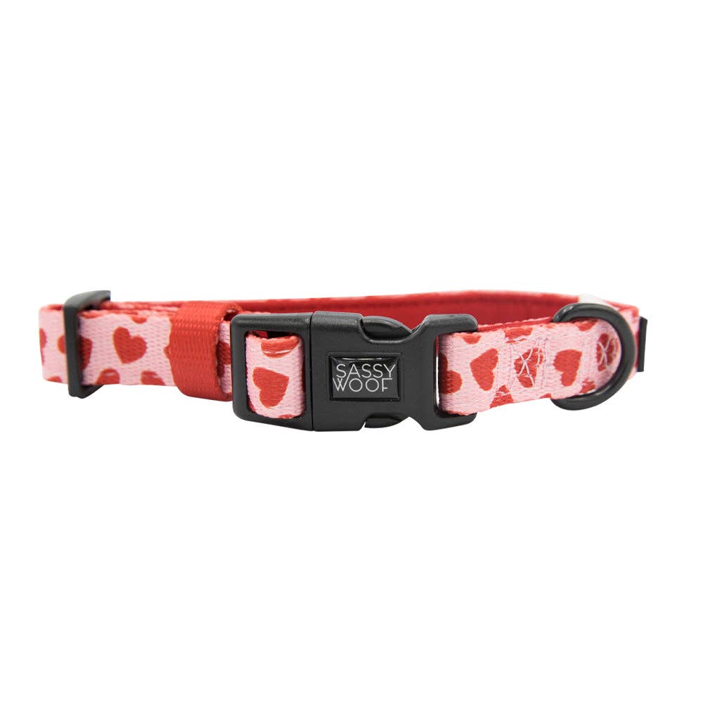 Dog collar with heart pattern and 'Sassy Woof' branding on a white background