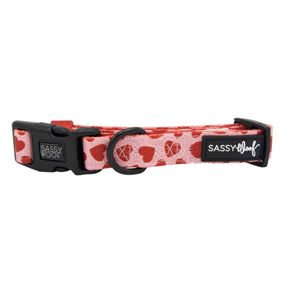 Dog collar with heart pattern and 'Sassy Woof' branding on a white background