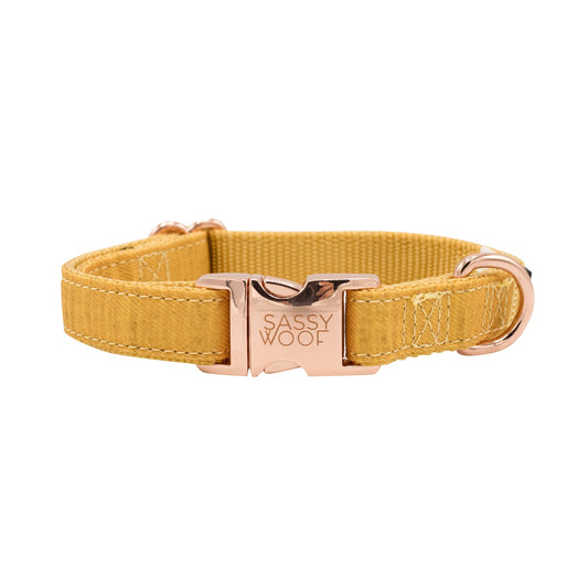 Mustard yellow dog collar with a rose gold buckle on a white background