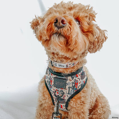 Dog wearing a Disney harness on a white background
