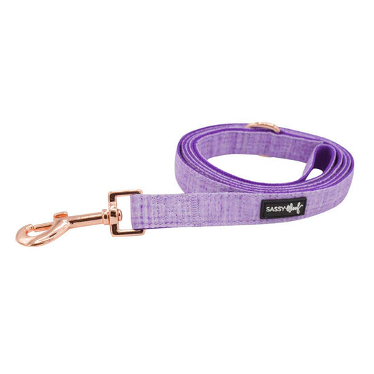 Purple dog leash with rose gold clip on a white background