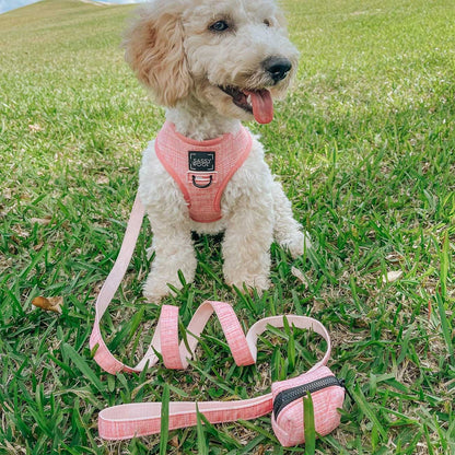 Dog wearing a pink harness and leash set on grass