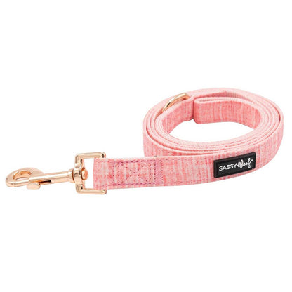 Pink dog leash with gold clip on a white background