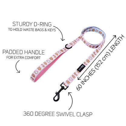 Dog leash with features highlighted on a white background