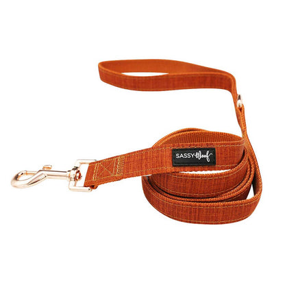 Orange dog leash with a gold clasp on a white background, featuring the brand 'Sassy Woof'.