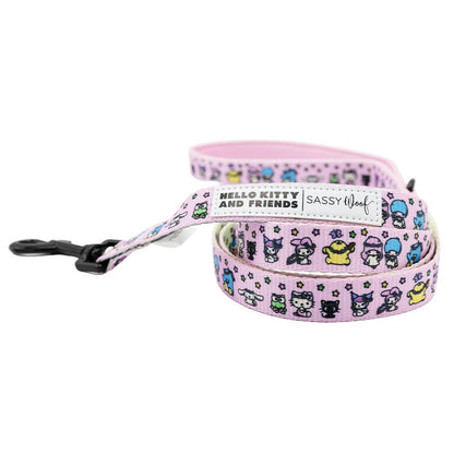 Pink dog leash with cartoon characters and 'Hello Kitty and Friends' branding on a white background