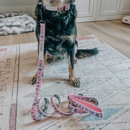 Dog standing on a rug with a floral-patterned dog leash and collar.