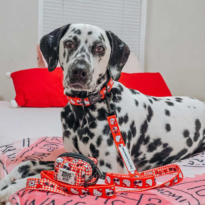 Dog_Leash_Hello_Kitty_Red_Classic_on_a_dalmatian_dog_sitting_down