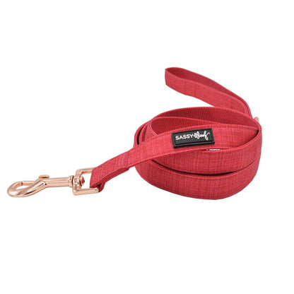 Red dog leash with a rose gold clip on a white background