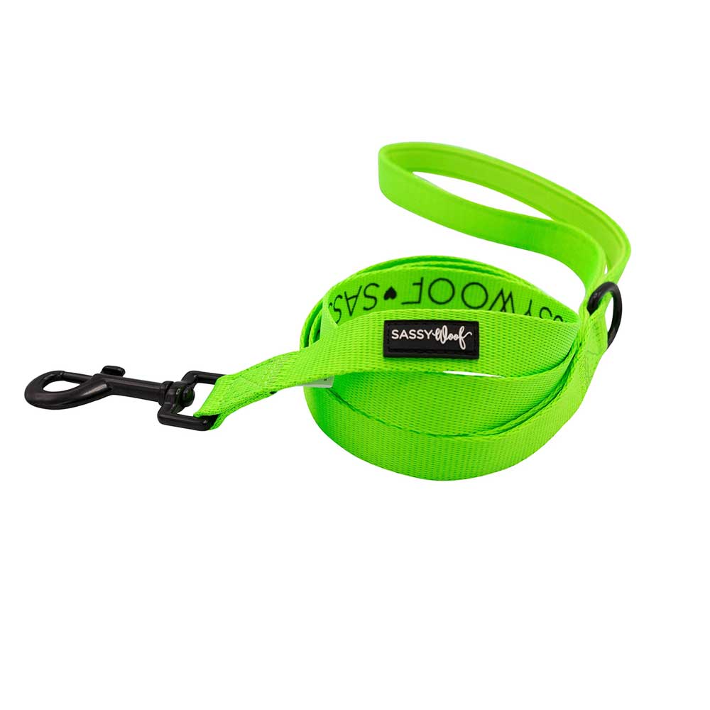 Neon green dog leash with a black clip on a white background