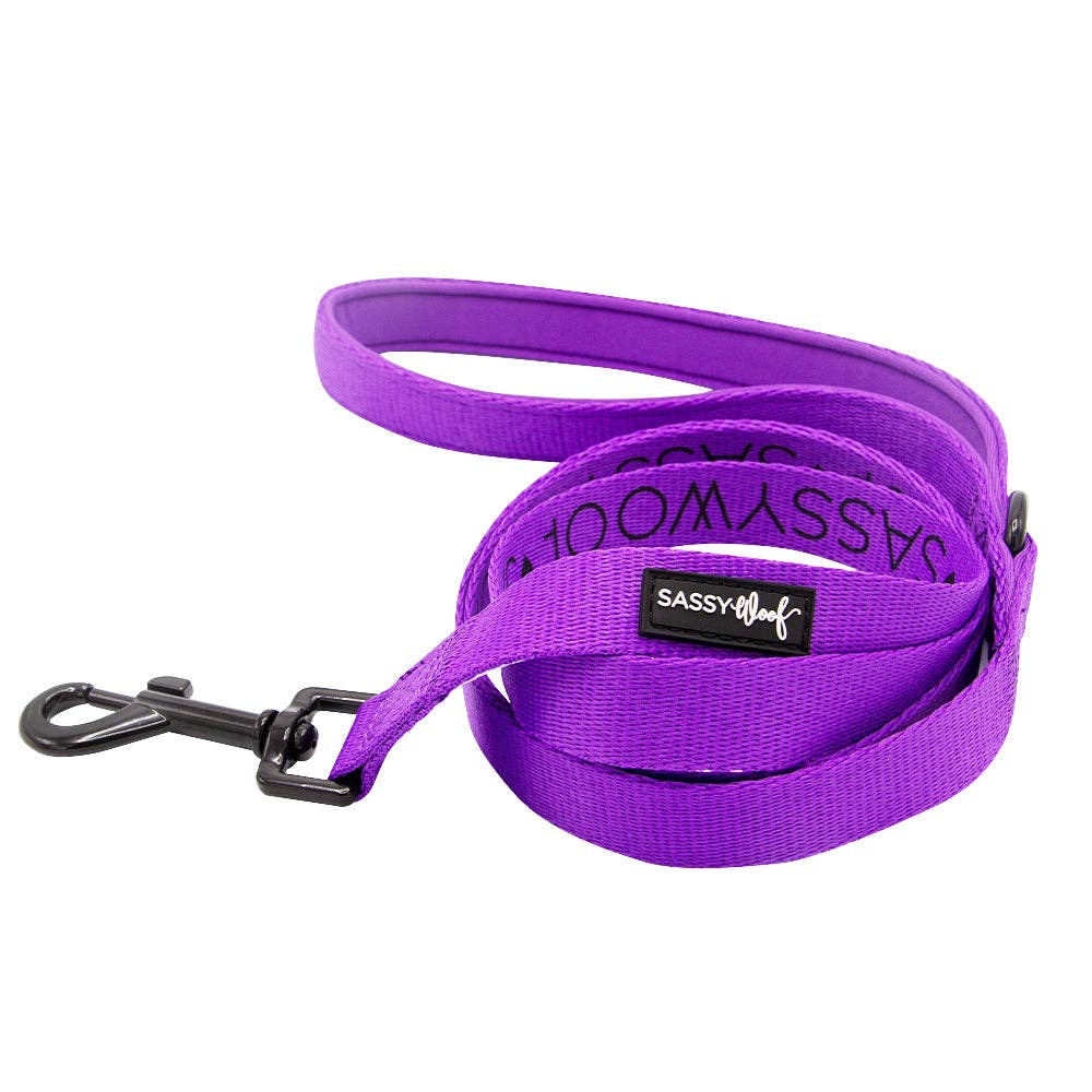 Purple dog leash with 'Sassy Woof' branding on a white background