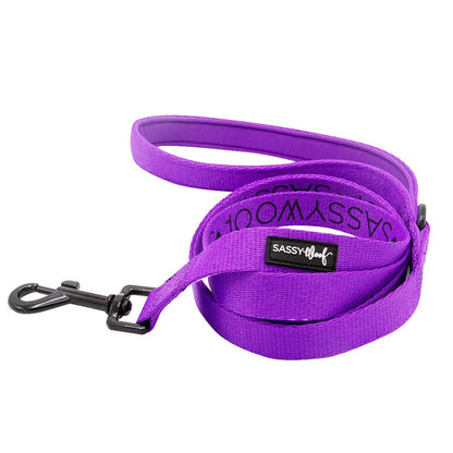 Purple dog leash with 'Sassy Woof' branding on a white background