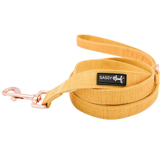 Yellow dog leash with a black label on a white background