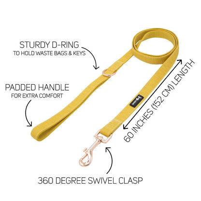Yellow dog leash with features labeled on a white background