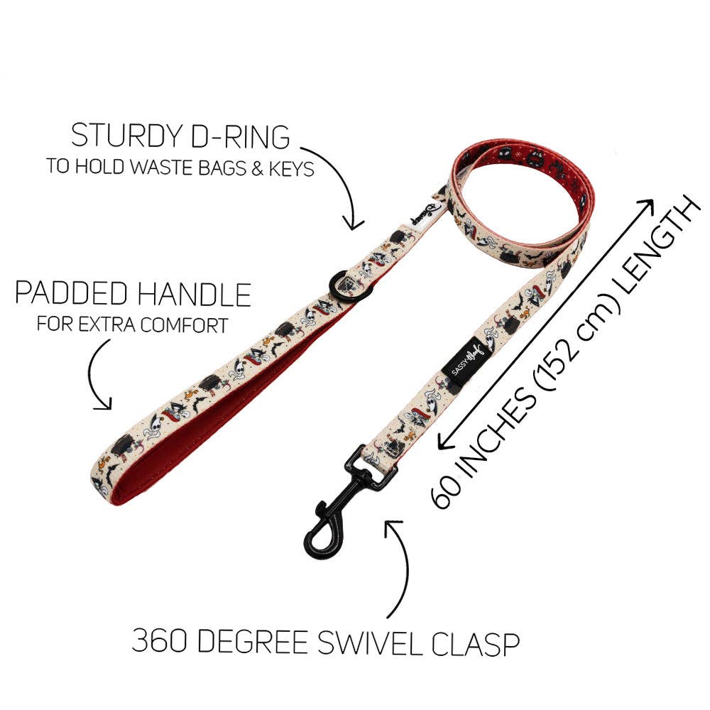 Dog leash with features highlighted on a white background