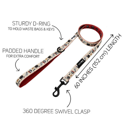 Dog leash with features highlighted on a white background