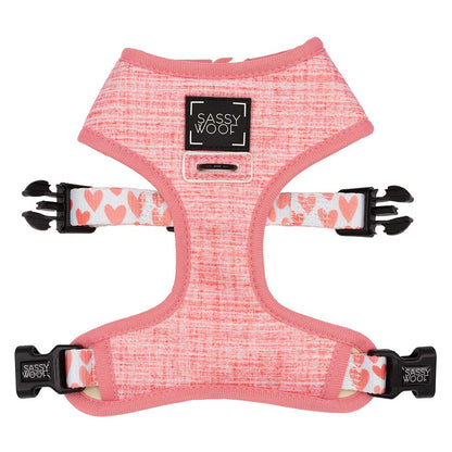 Pink dog harness with floral patterned straps on a white background, branded 'Sassy Woof'.