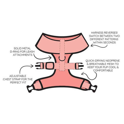 Diagram of a reversible dog harness with features highlighted on a white background